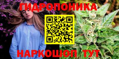 apvp Краснодар