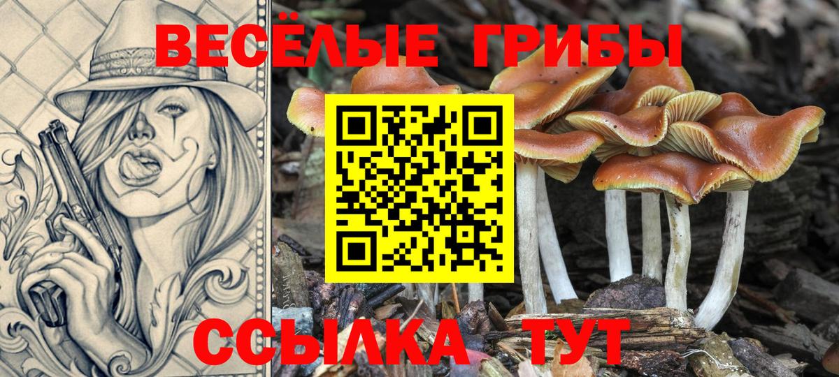 Псилоцибиновые грибы MAGIC MUSHROOMS Кириши