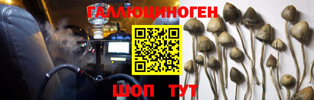 Кириши  Галлюциногенные грибы прущие грибы  где купить наркотик  Галлюциногенные грибы ЛСД  Вход с VPN 